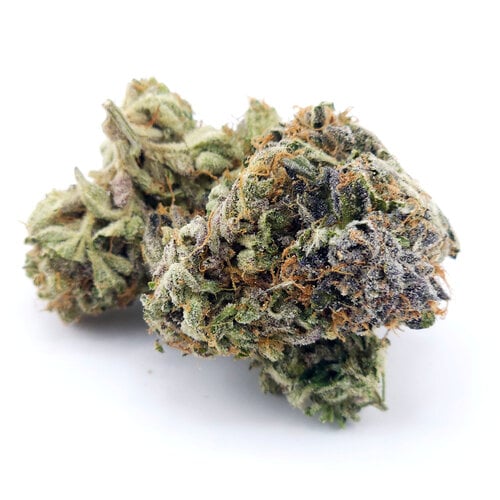Cannabis Exotic Bahama Mama Cannabis Exotic Bahama Mama