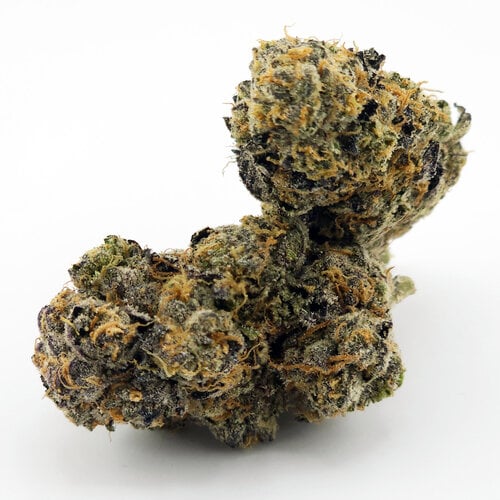 Cannabis Toad Venom