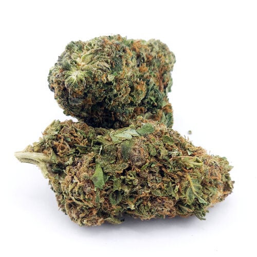 Cannabis Blue Dream