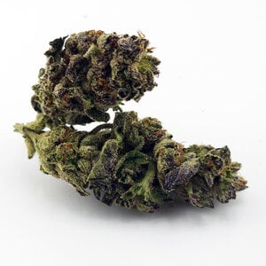 Cannabis Liquid Moon Cannabis Liquid Moon