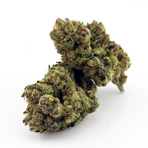Cannabis Brainwash Cannabis Brainwash
