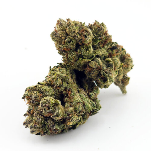 Cannabis Brainwash Cannabis Brainwash