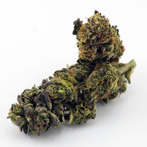 Cannabis Zero Gravity Cannabis Zero Gravity