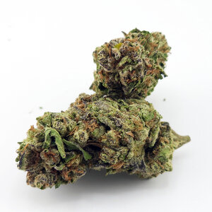 Cannabis Cosmic Kush Cannabis Cosmic Kush