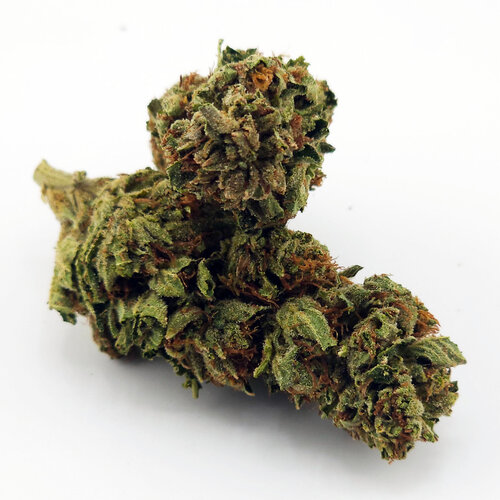 Cannabis Cash Crop Cannabis Cash Crop