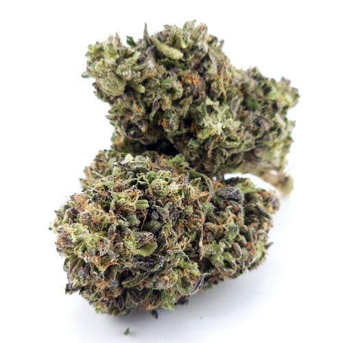 Cannabis Jane Dough
