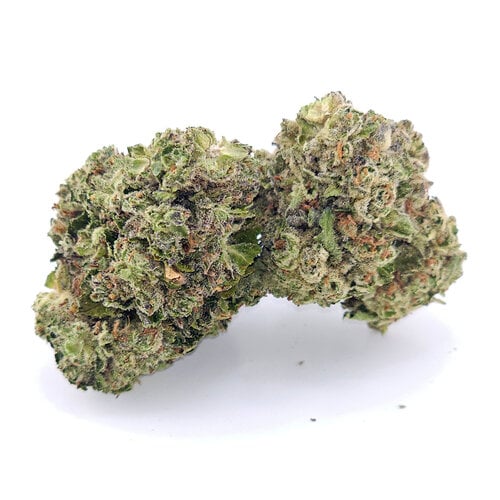 Cannabis Purple Dream Cannabis Purple Dream