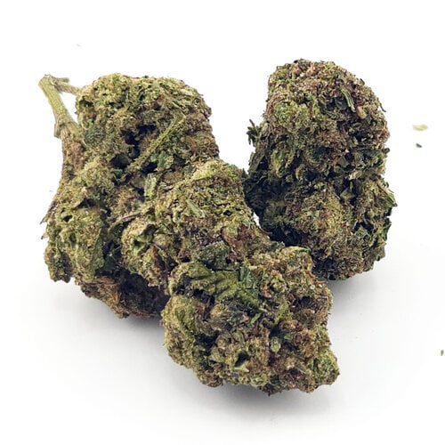 Cannabis Sunset Fritter Cannabis Sunset Fritter