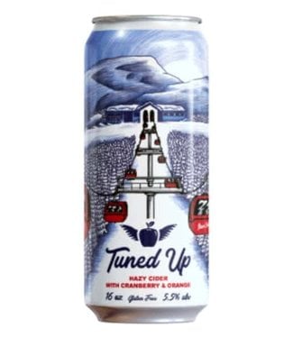 STOWE CIDER TUNED UP 4PK