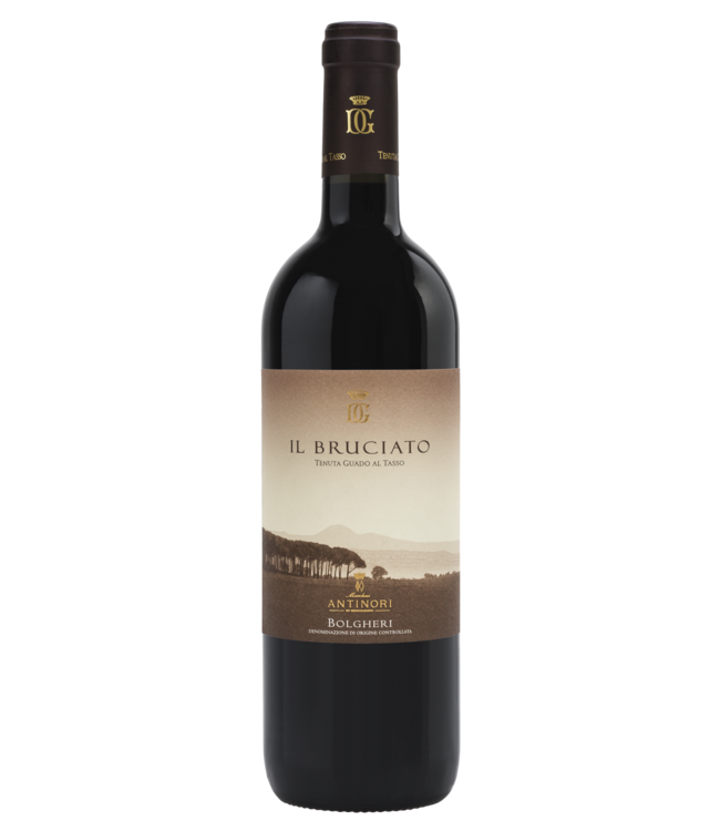 ANTINORI GUADO AL TASSO BRUCIATO 2023