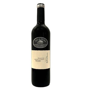 AGUA DE PIEDRA SELECCION MALBEC 2022