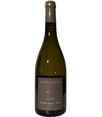 JEAN YVES BRETAUDEAU MUSCADET L'ENVOL 2020