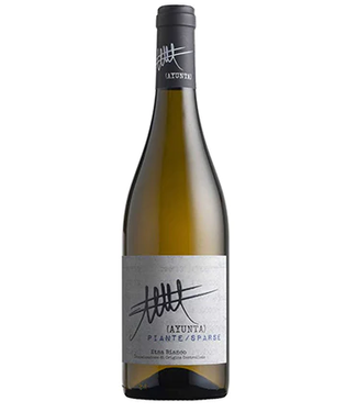 AYUNTA NERELLO MASCALESE BIANCO 2024