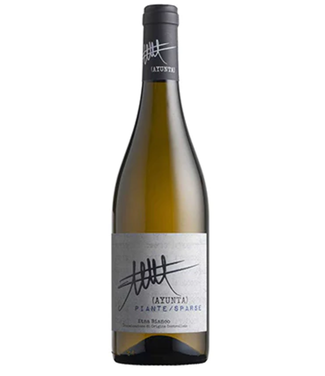 AYUNTA NERELLO MASCALESE BIANCO 2024