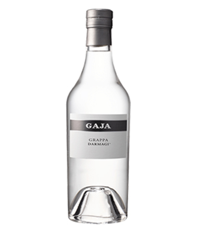 GAJA GRAPPA DARMAGI