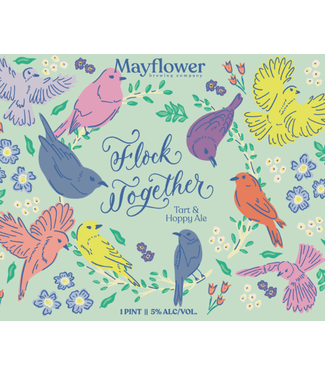 MAYFLOWER PINK BOOTS SERIES FLOCK TOGETHER 4PK