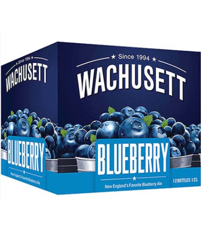 WACHUSETT BLUEBERRY ALE 4PK