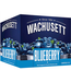 WACHUSETT BLUEBERRY ALE 4PK