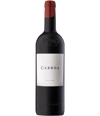 PROTOS CARROA 2021
