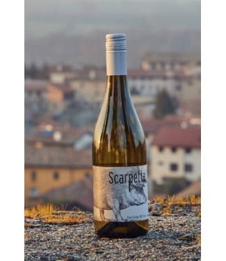 SCARPETTA PINOT GRIGIO