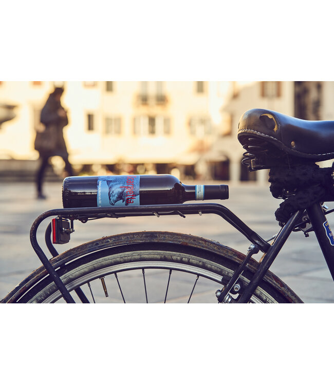 SCARPETTA BARBERA DEL MONFERRATO