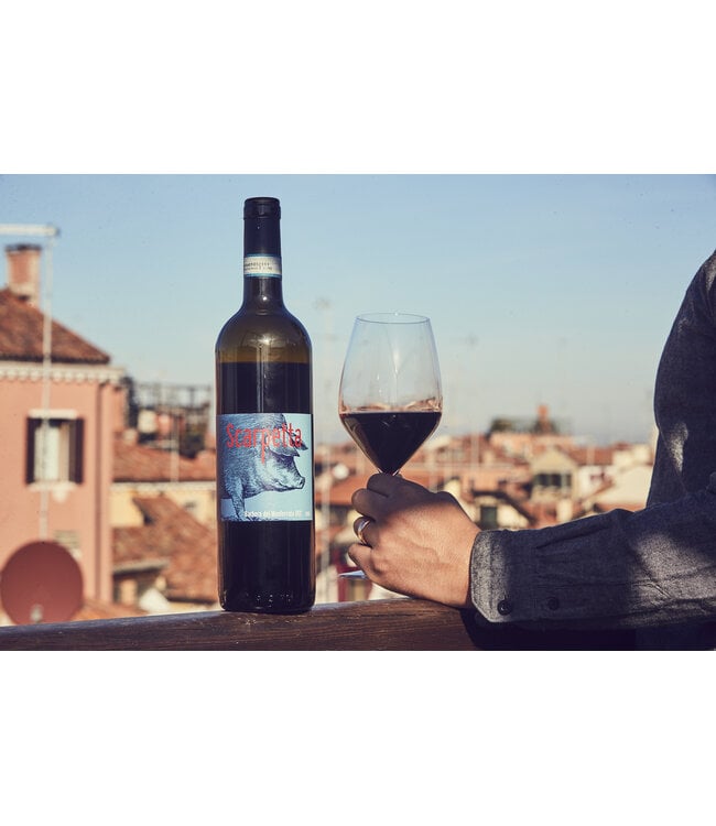 SCARPETTA BARBERA DEL MONFERRATO