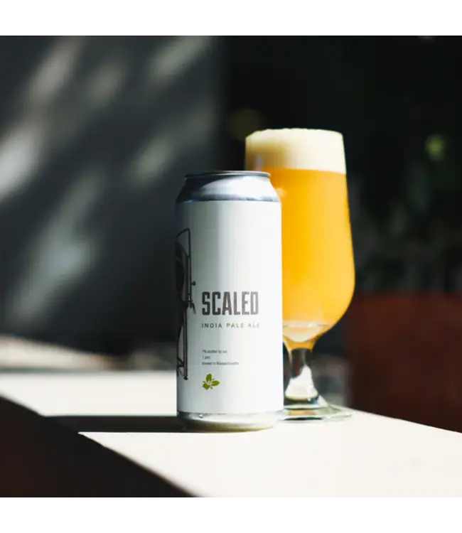 TRILLIUM SCALED IPA 4PK