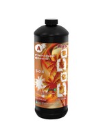 Nutri+ NUTRI+ COCO PLUS NUTRIENT BLOOM A 1L