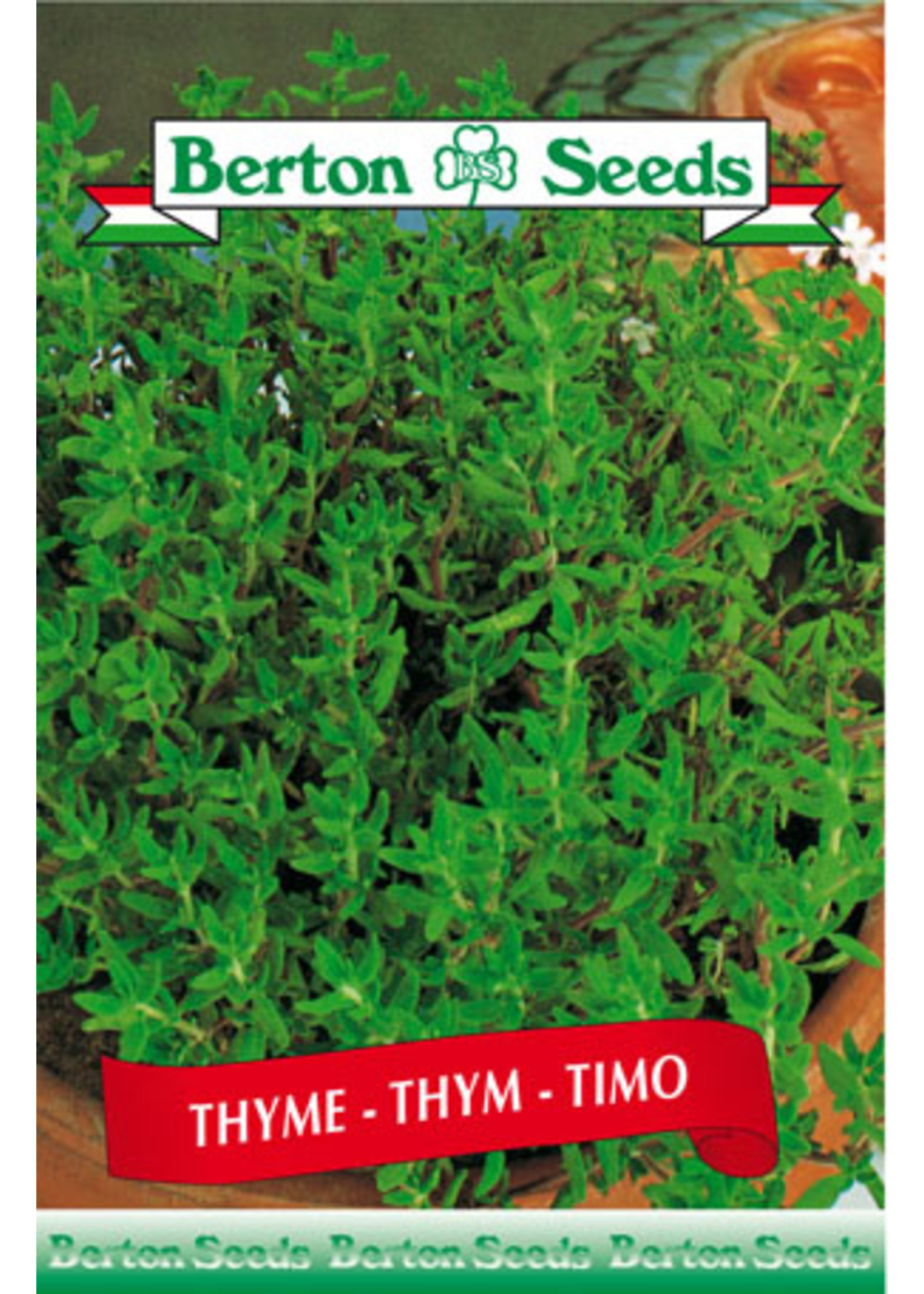 Berton Seeds Thyme seeds