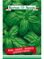 Berton Seeds Basil