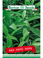 Berton Seeds Sage