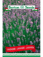 Berton Seeds Lavender