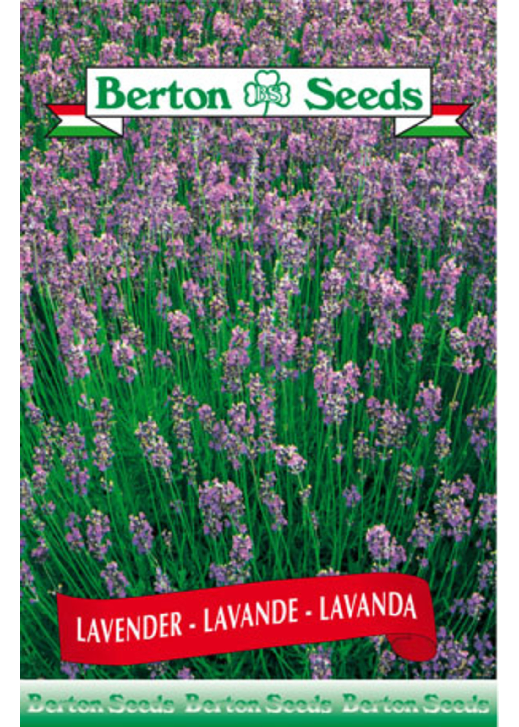 Berton Seeds Lavender