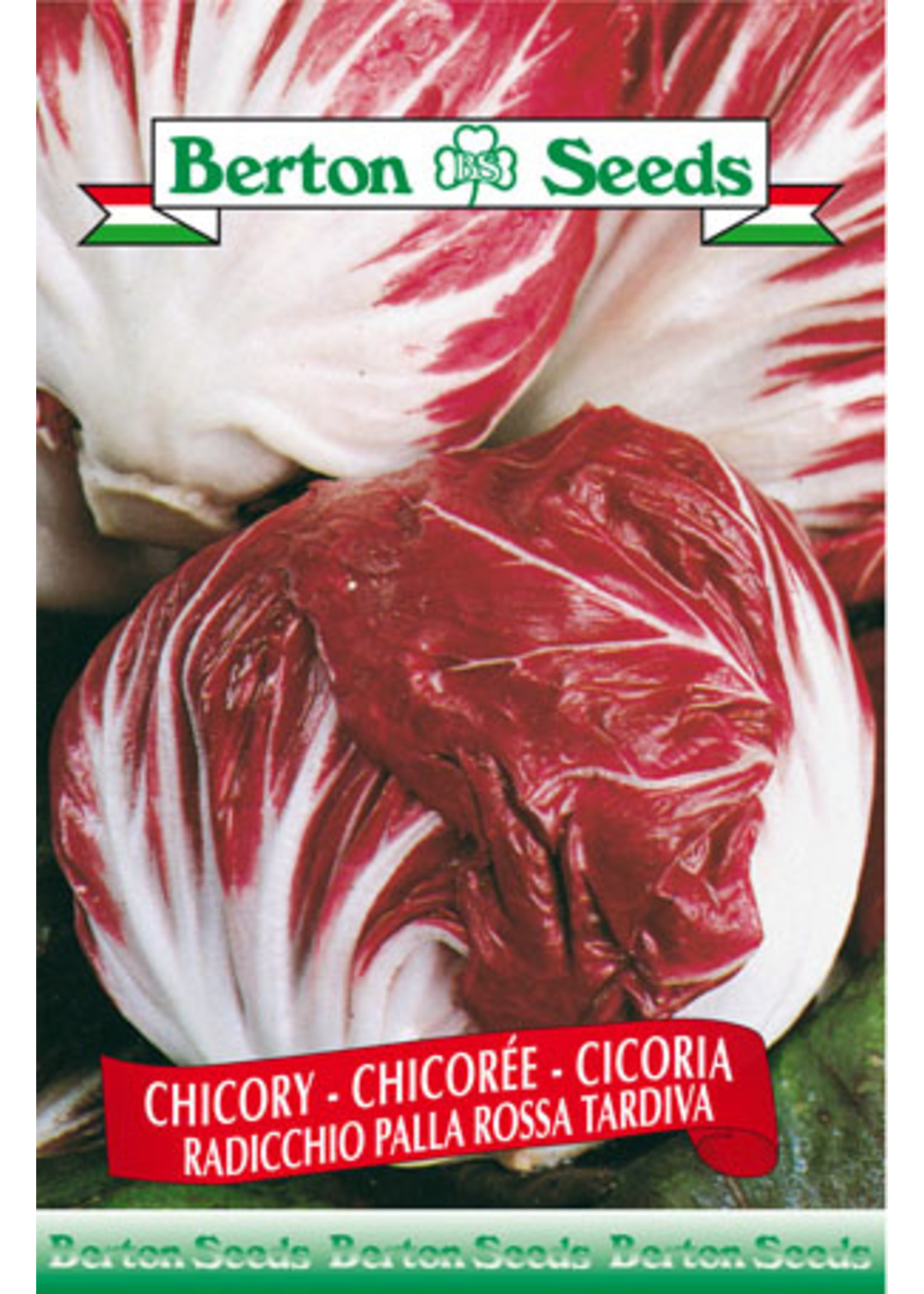 Berton Seeds Chicory-Radicchio