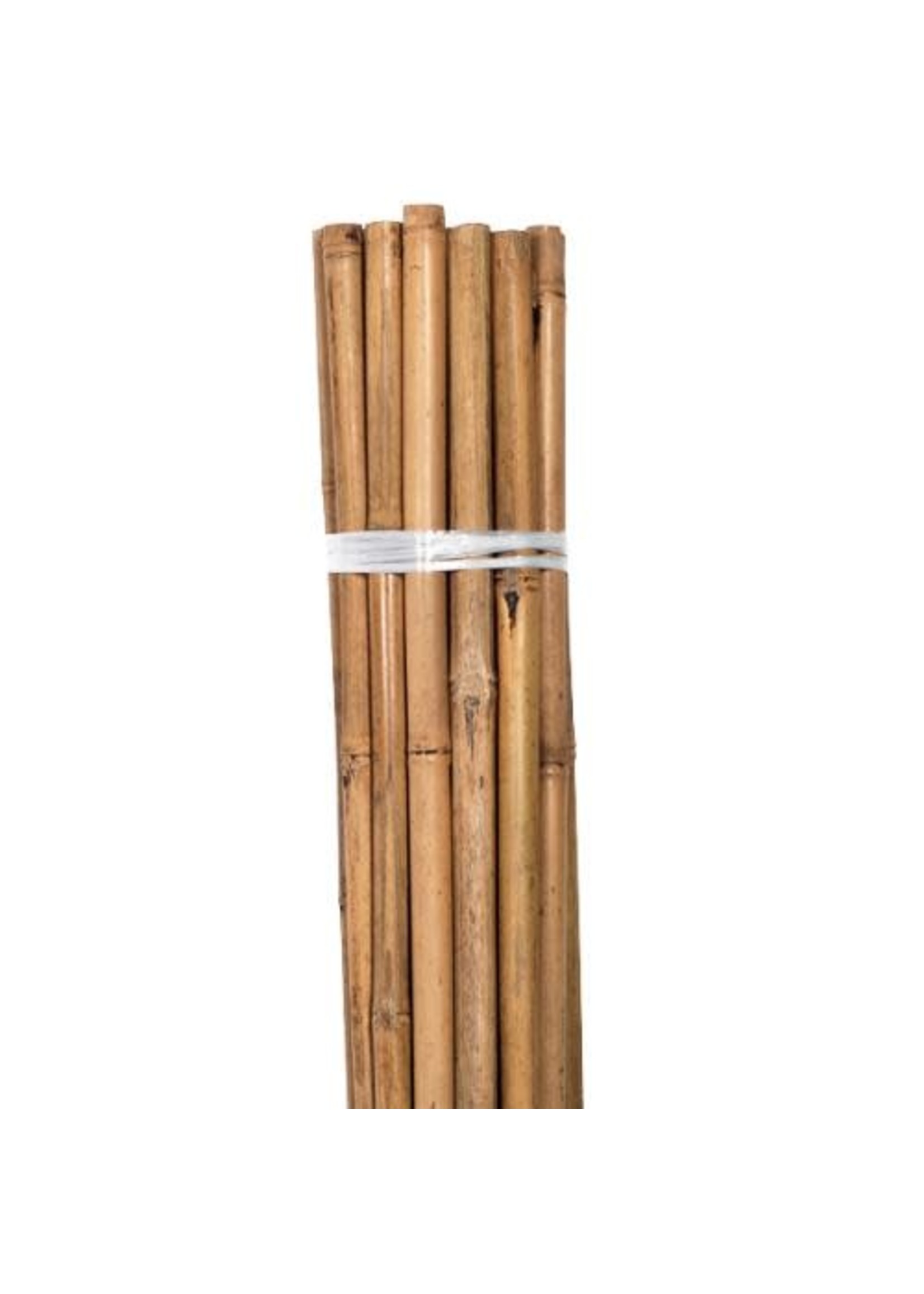 Grower's Edge Natural Bamboo 6 ft - 6/Bag