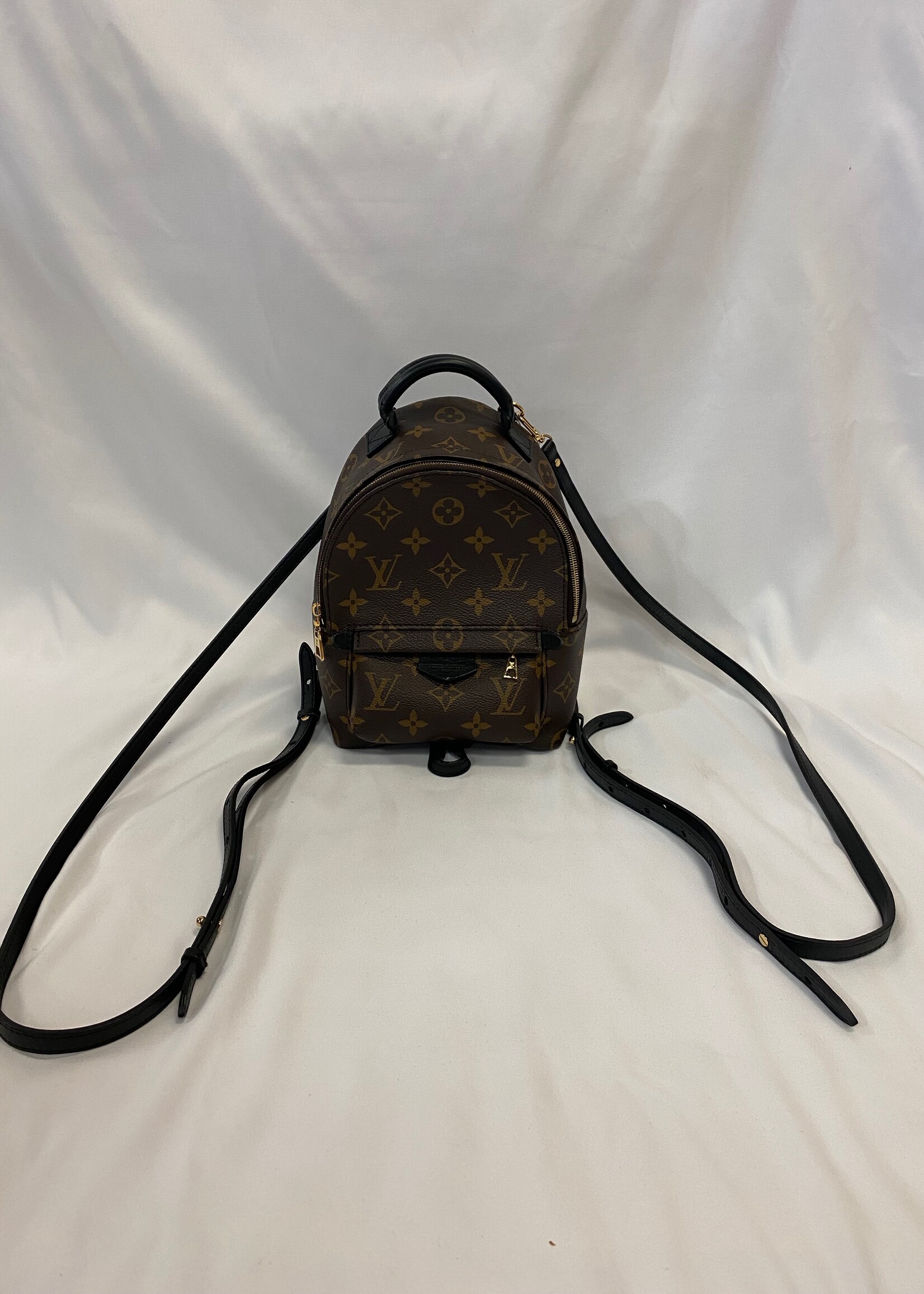 Louis Vuitton // Brown Love Lock Palm Springs Mini Backpack – VSP  Consignment