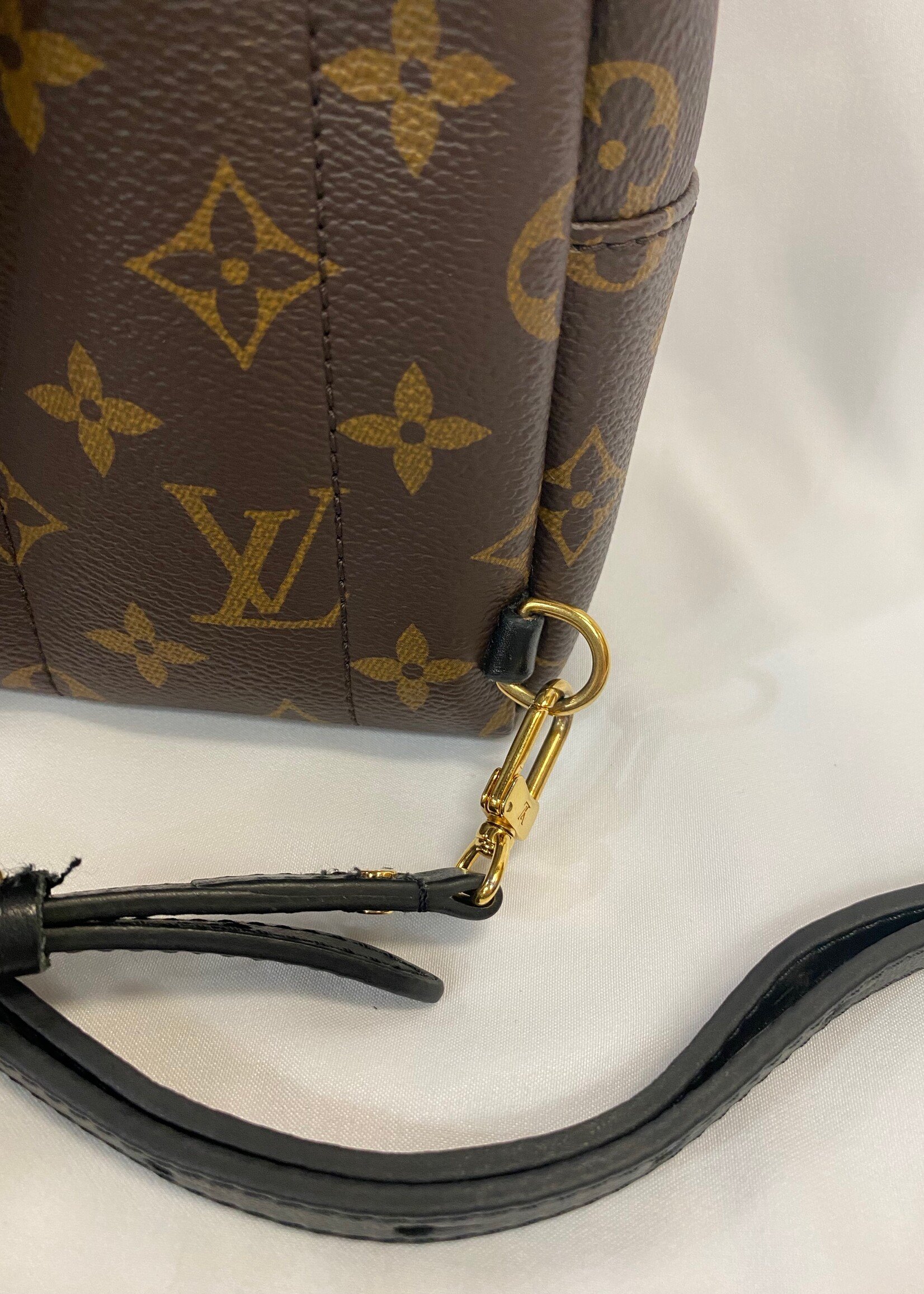 The Louis Vuitton Palm Springs Backpack Mini – A Rose In The City