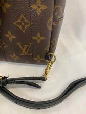 Louis Vuitton Palm Springs Mini Backpack ✓ 100% - Depop