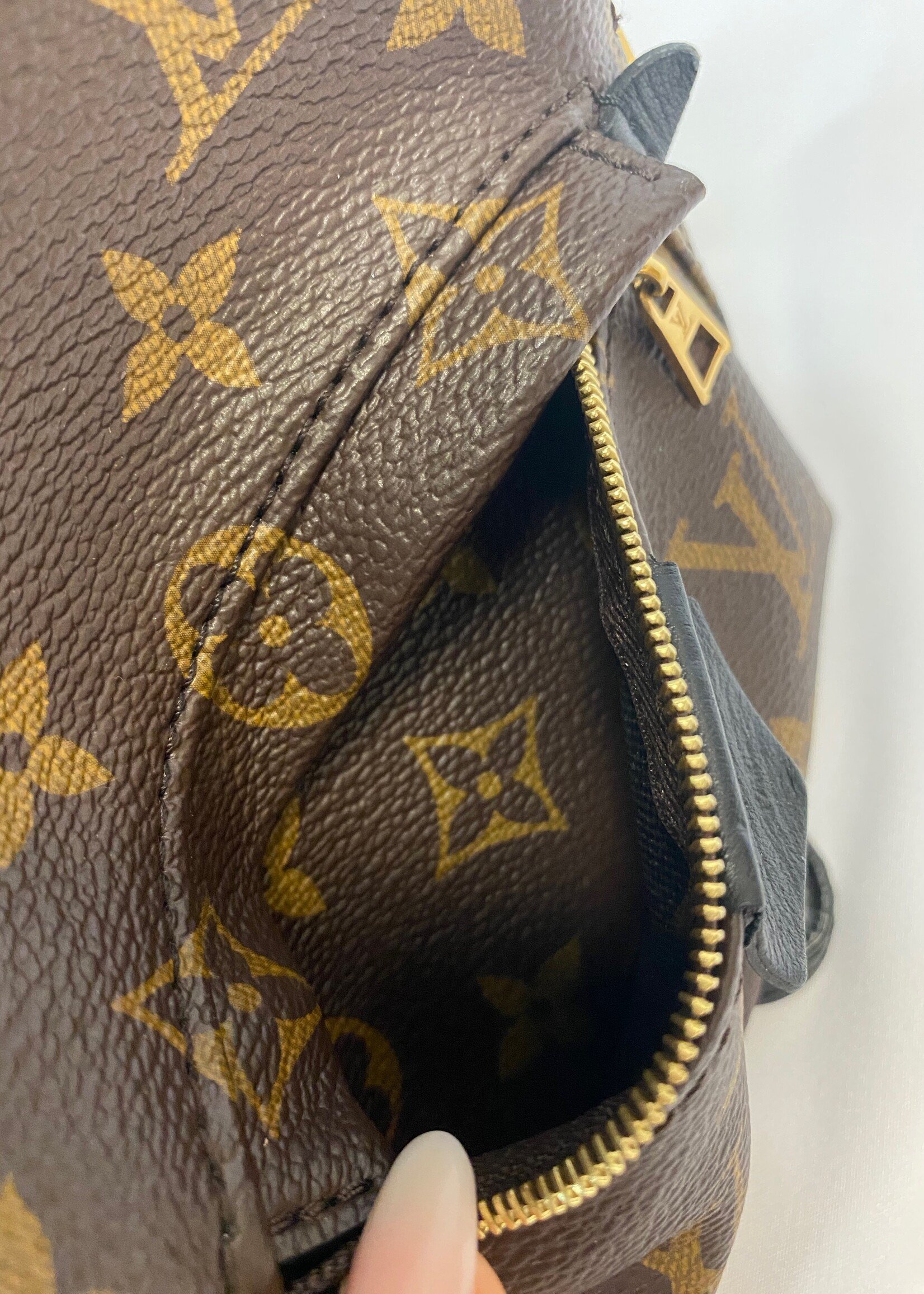 Louis Vuitton Monogram Canvas Palm Springs Mini Backpack - FINAL