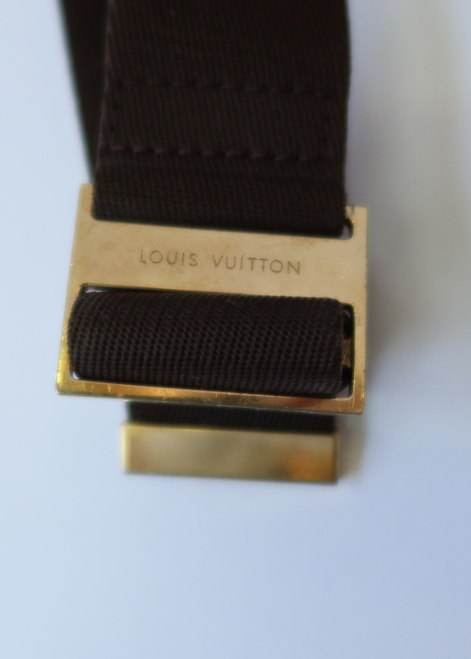 Louis Vuitton Damier Ebene Geronimos