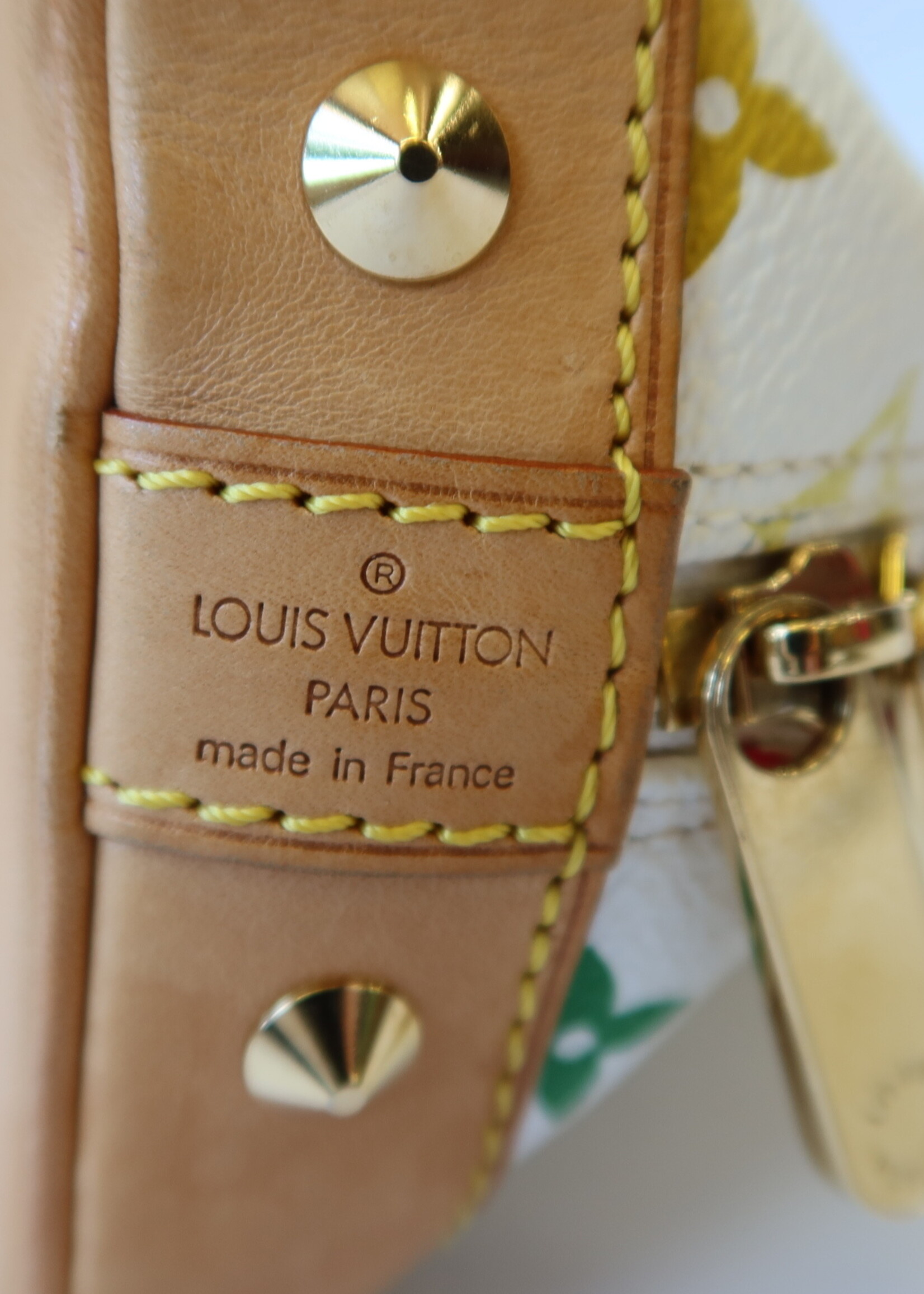 Louis Vuitton Multicolor Alma