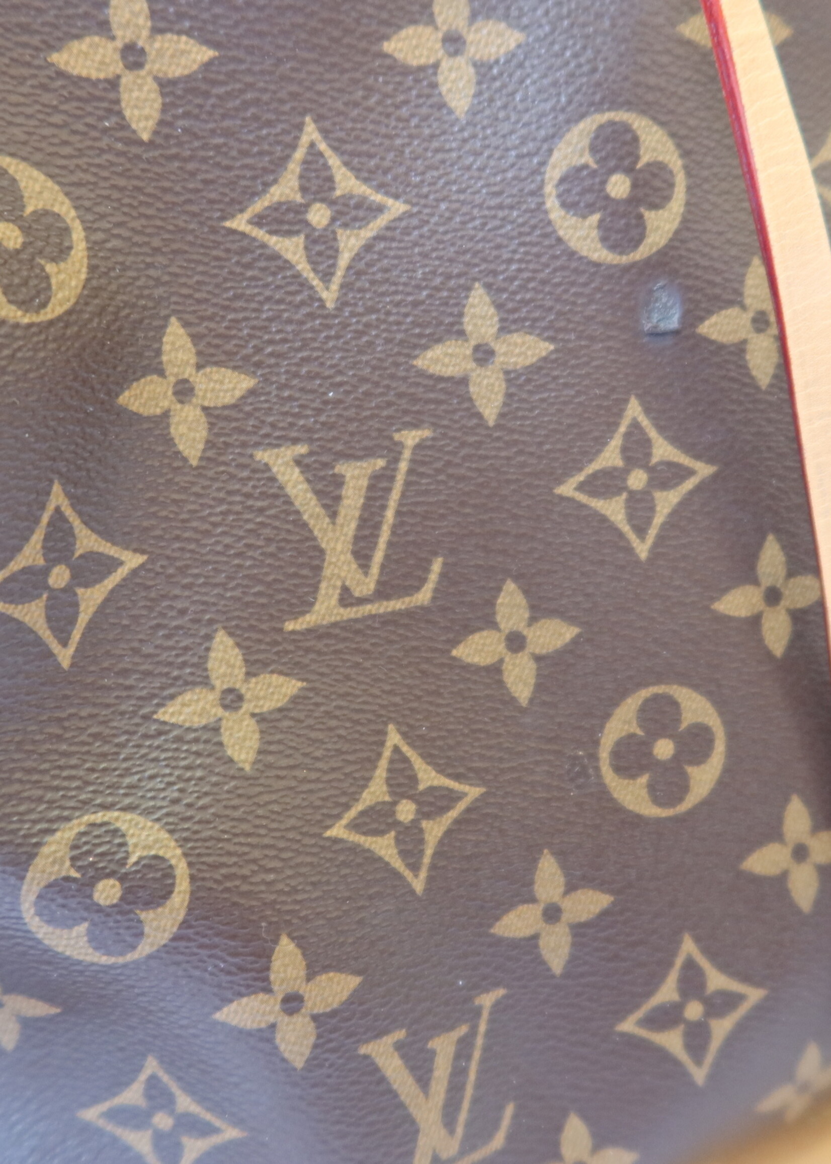 Louis Vuitton Louis Vuitton Monogram Carryall MM