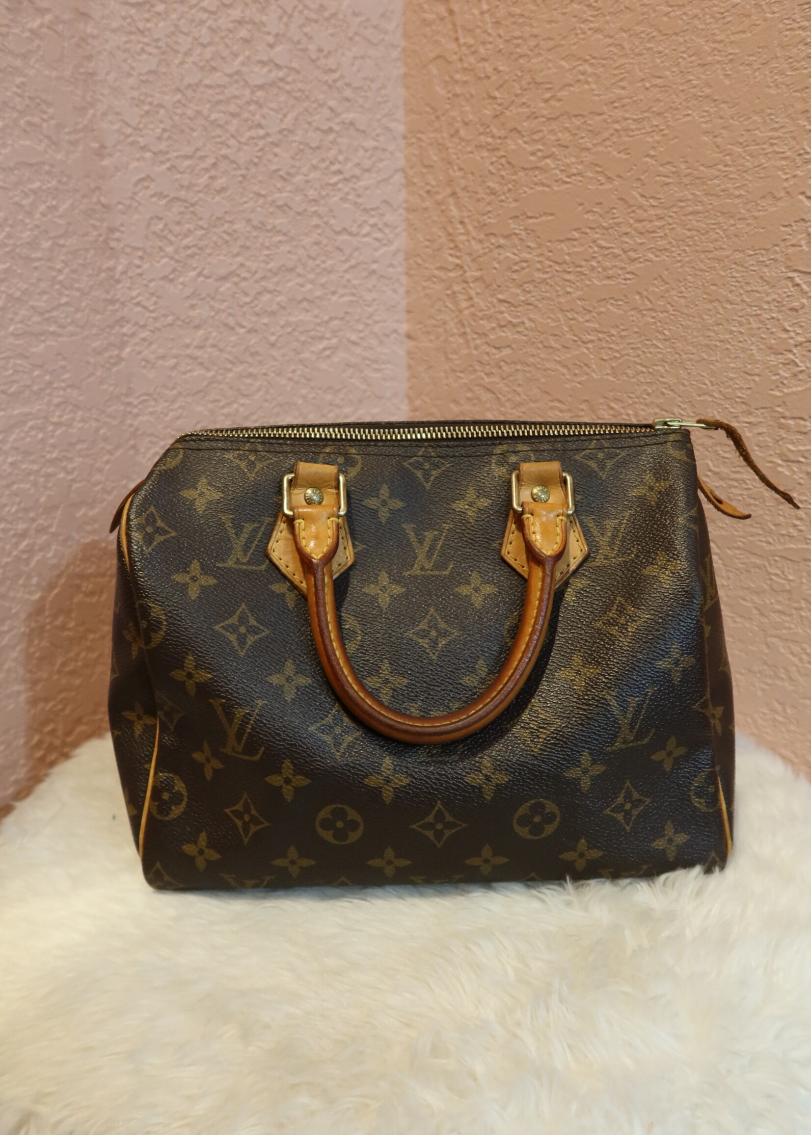 Louis Vuitton Monogram Speedy 25