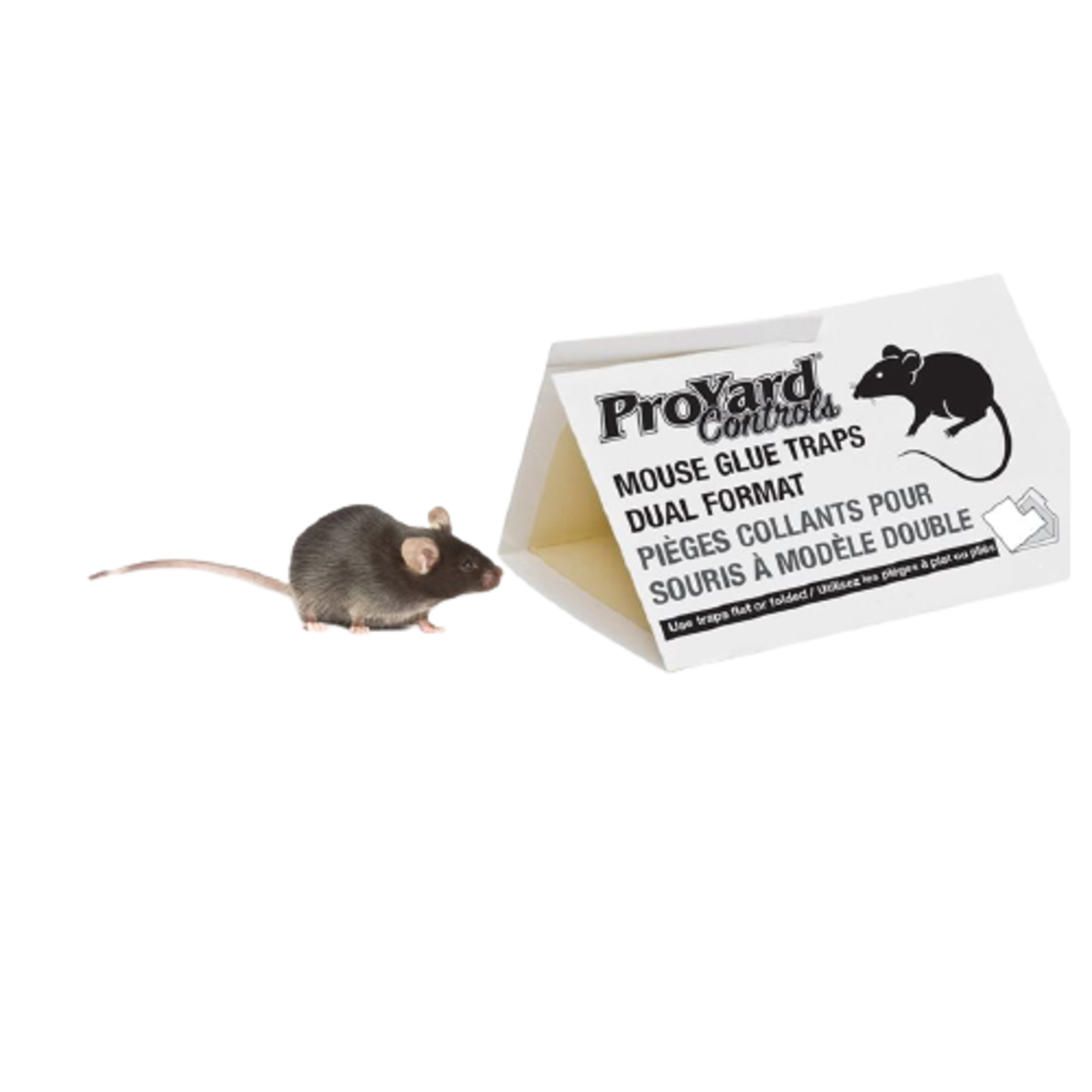 MOUSE AND INSECT GLUE TRAP 2PK