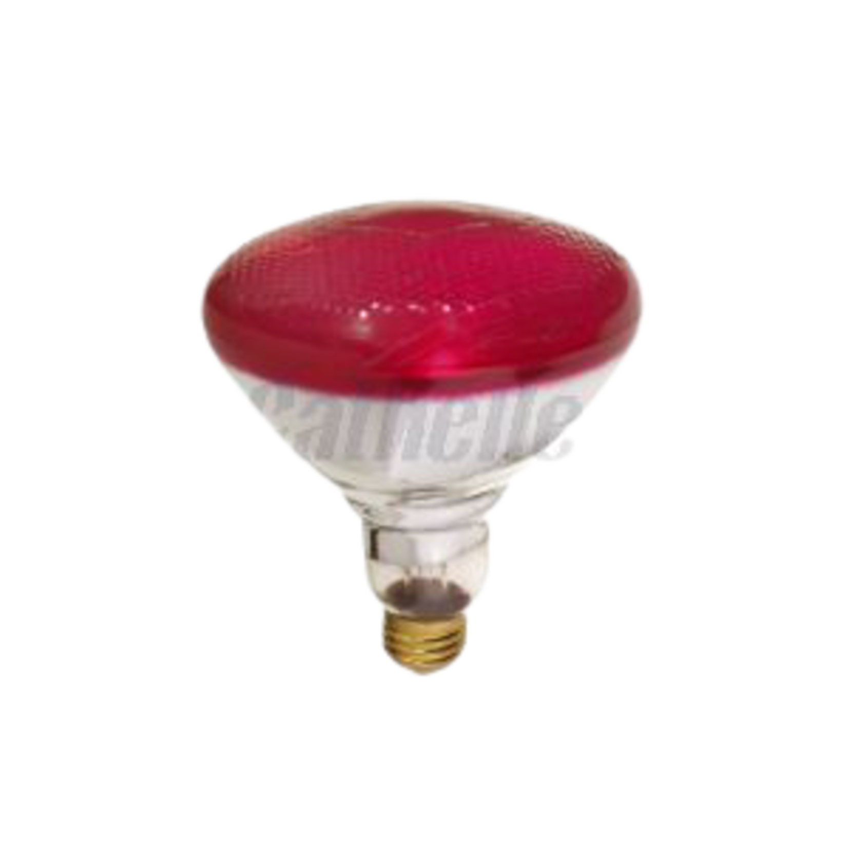 OUTDOOR FLOOD LIGHT 100W BR38  RED