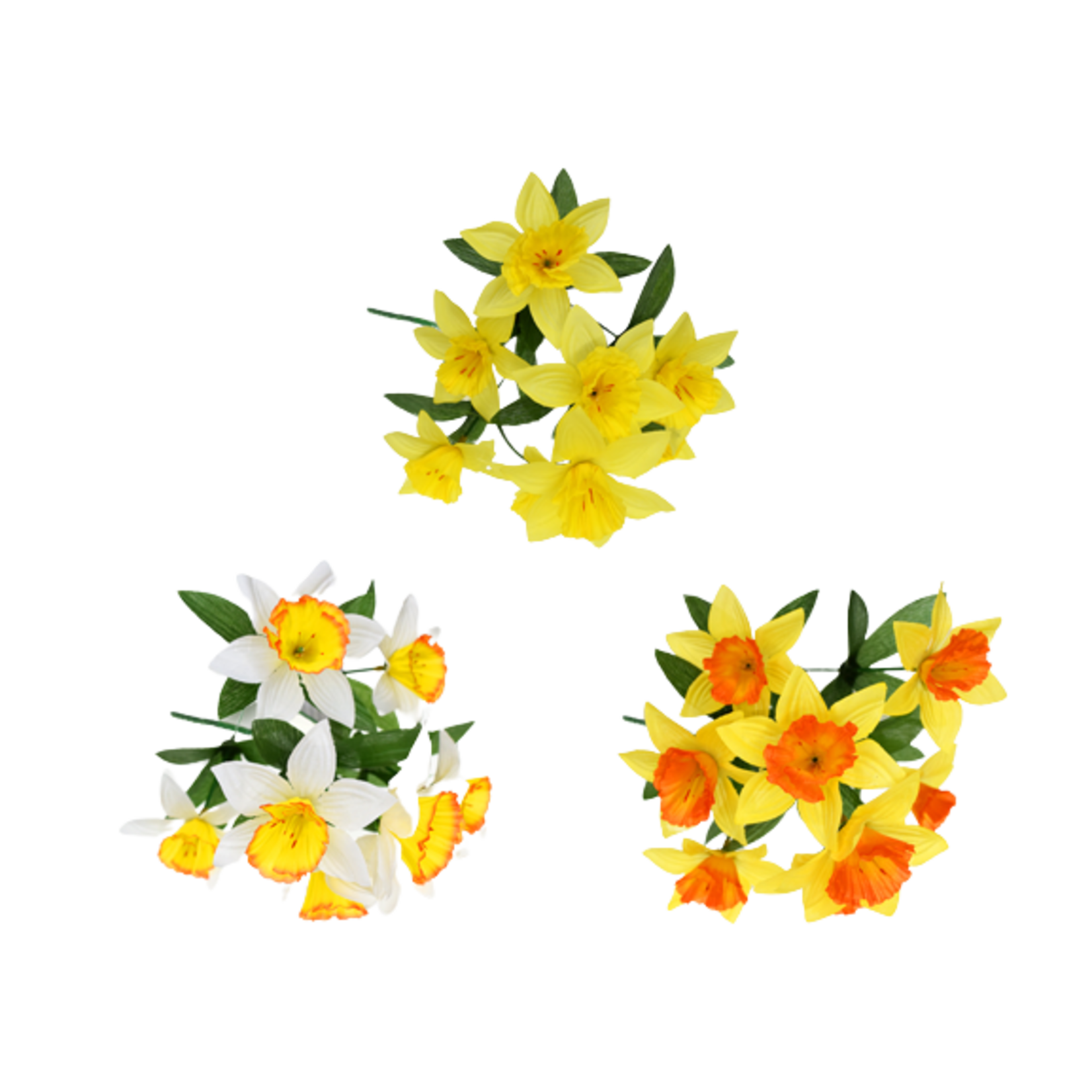 DAFFODIL BUSH - YELLOW AND YELLOW, WHITE AND YELLOW, OR ORANGE AND YELLOW