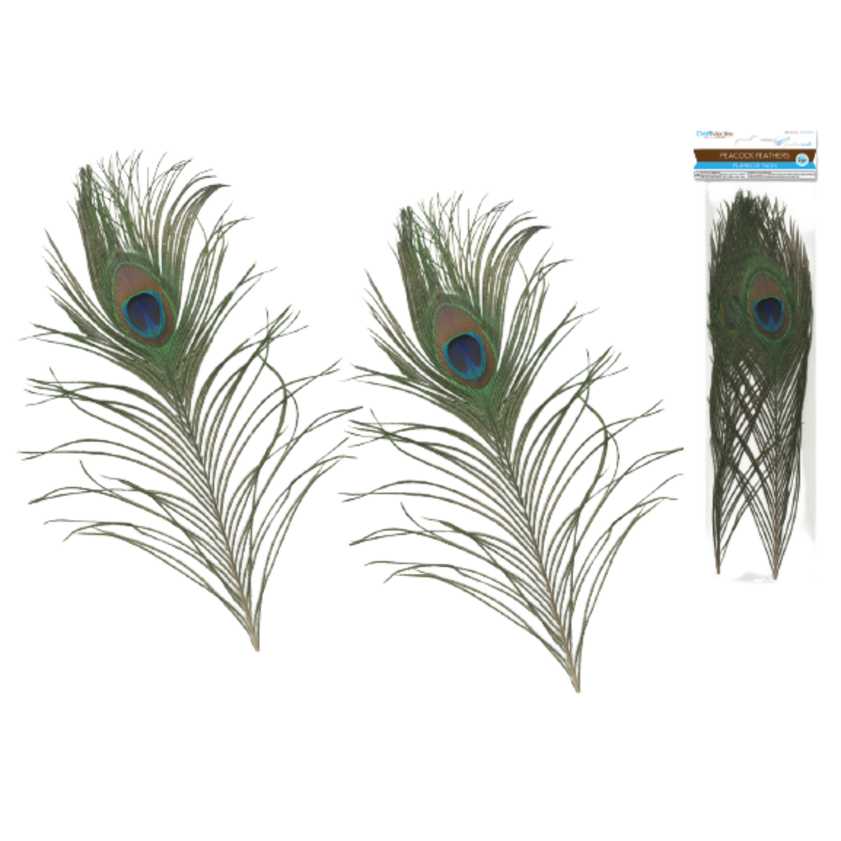FEATHER CRAFT: 10IN-14IN REAL PEACOCK FEATHERS 2/pk