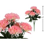 PINK CARNATIONS WITH BABY BREATH
