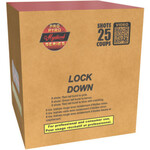 PRO PYRO SERIES LOCK DOWN 25 SHOTS