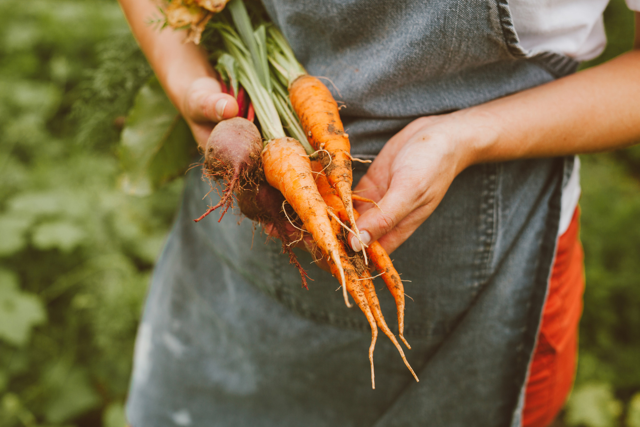 Why Health Food Products Are So Expensive
